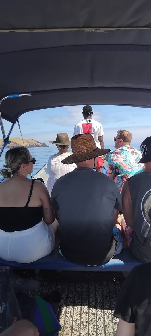 Guests under the boat canopy on the way to an island